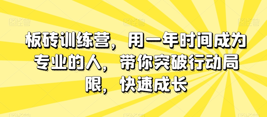 砖头夏令营，用一年时间变成专业人，陪你突破行动局限性，快速增长-暖阳网-优质付费教程和创业项目大全