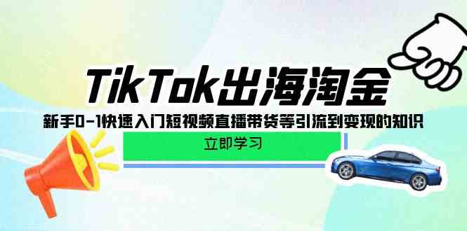 TikTok出航挖金，初学者0-1快速上手短视频带货卖货等引导到快速变现专业知识