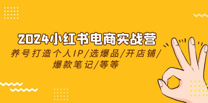 2024小红书电商实战营，起号打造出IP/选爆款/开店铺/爆品手记/等（24节）