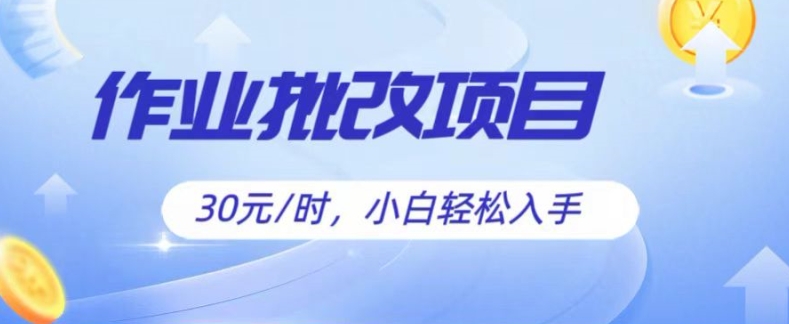 批作业新项目，30元后，简易易上手，适宜宝妈妈，在校大学生