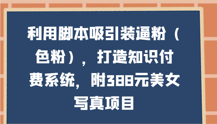 运用脚本制作吸引住装B粉（颜料），打造出知识付费系统，附388元美女写真新项目