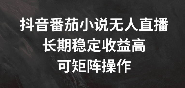 抖音视频番茄小说无人直播，长期性稳定盈利高，可引流矩阵实际操作【揭密】