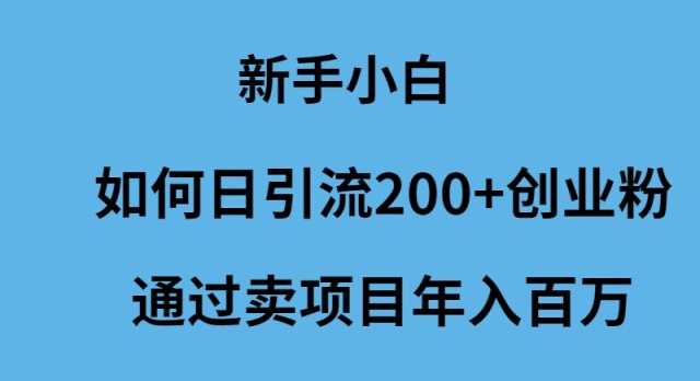 （9668期）新手小白如何日引流200+创业粉通过卖项目年入百万