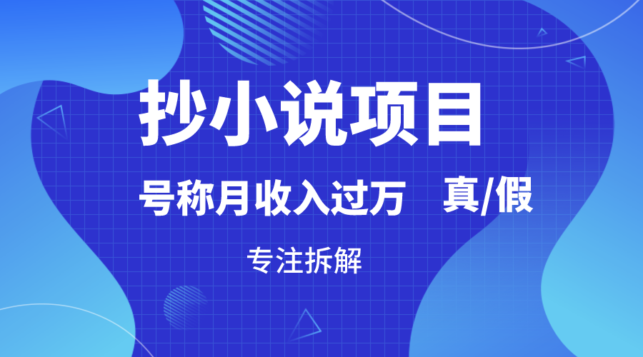 抄小说集新项目，称为月入了万，究竟是否属实，要不要做，详尽拆卸