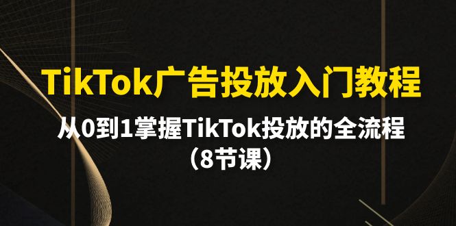 （10085期）TikTok广告营销基础教程，从0到1把握TikTok推广等各个环节（8堂课）