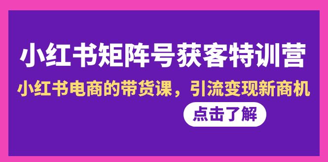 （8909期）小红书的-矩阵账号拓客夏令营-第10期，小红书电商的卖货课，引流变现商机