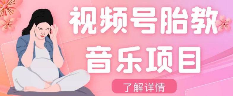 微信视频号胎教歌曲新项目，使用方便，0成本利润自己定，单日300-暖阳网-优质付费教程和创业项目大全