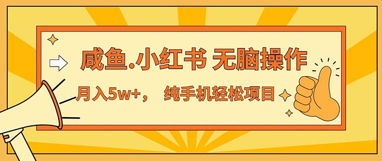 （11524期）2024最赚钱的项目，咸鱼，小红书无脑操作，每单利润500+，轻松月入5万+…