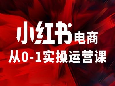 小红书电商从0-1实际操作运营课，使你从小白到精锐