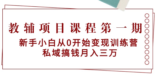 （9227期）教辅书项目课程第一期：新手入门从0逐渐转现夏令营  公域弄钱月入三万