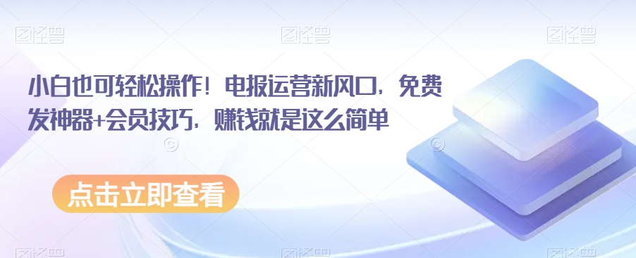 新手也可以简单实际操作！电文经营新蓝海，免费发布软件 VIP方法，挣钱就这么简单