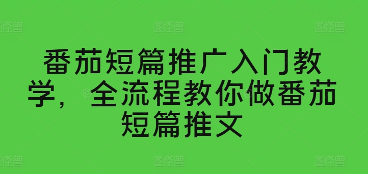 西红柿短篇小说营销推广新手入门课堂教学，全过程手把手带你西红柿短篇小说文章