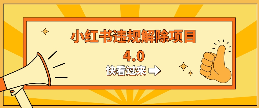 小红书违规掘金蓝海项目，日入800+（附带引流办法及解除办法）-暖阳网-优质付费教程和创业项目大全