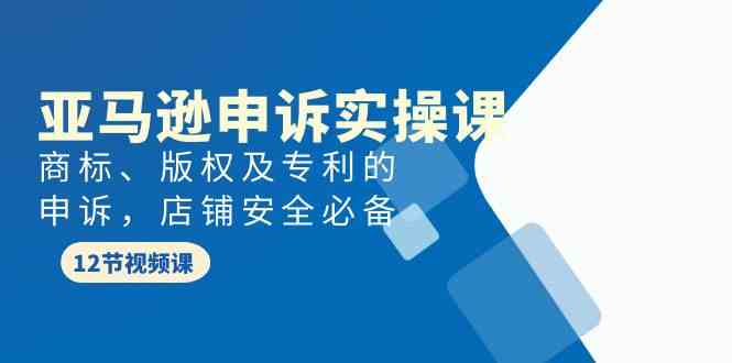 （9754期）亚马逊-申诉实战课，?商标、版权及专利的申诉，店铺安全必备