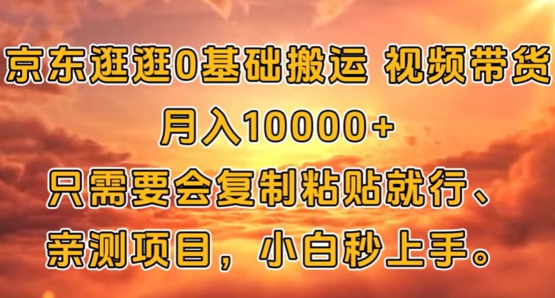 京东商城逛一逛0基本运送短视频带货【手机赚钱】月入1w