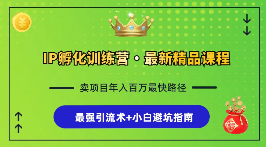 （13055期）IP卵化夏令营，社交电商全过程 最牛引流术 新手避坑指南