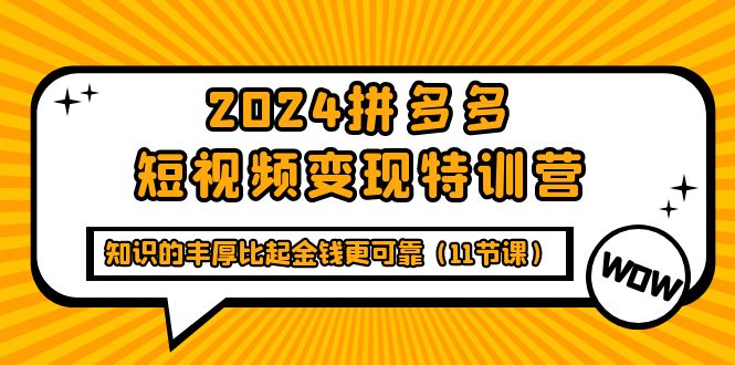 （9817期）2024拼多多平台短视频变现夏令营，知识丰富相比钱财更有保障（11堂课）