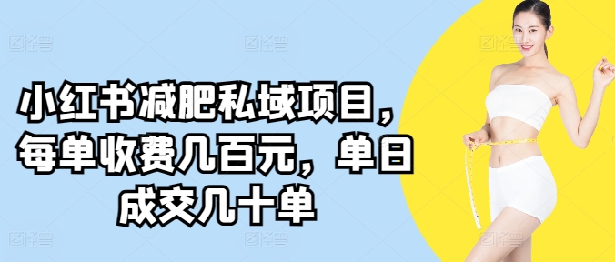 小红书减肥私域项目，每单收费几百元，单日成交几十单