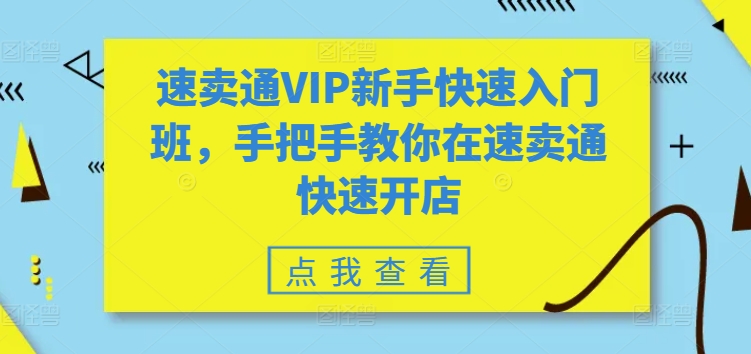 全球速卖通VIP初学者快速上手班，教你如何在全球速卖通迅速开实体店