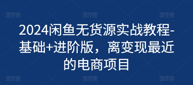 2024闲鱼平台无货源电商实战演练实例教程-基本 升级版，离转现近期的电商项目