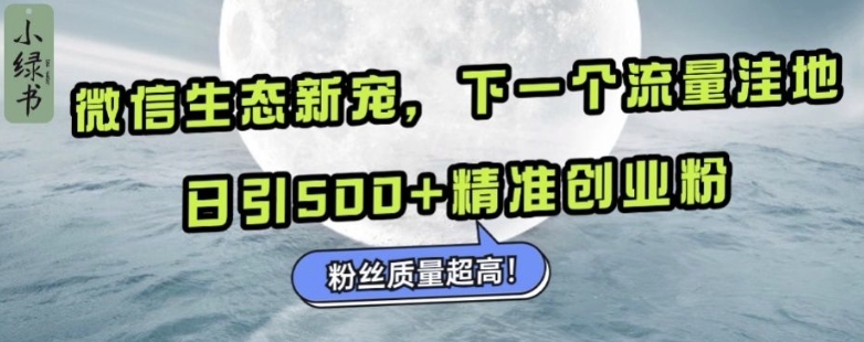 微信生态圈新欢小绿书：下一个流量洼地，日引500 精确自主创业粉，粉丝们品质极高