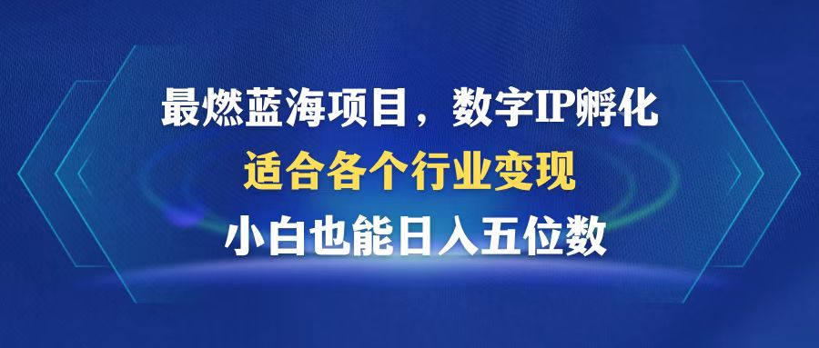 （12941期）超燃蓝海项目  数据IP卵化  适合各个领域转现  新手也可以日入5个数