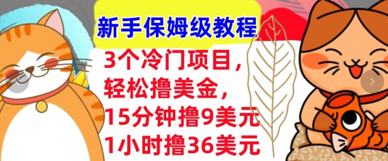 3个冷门项目，轻松撸美刀，1小时撸36刀，新手保姆级教程