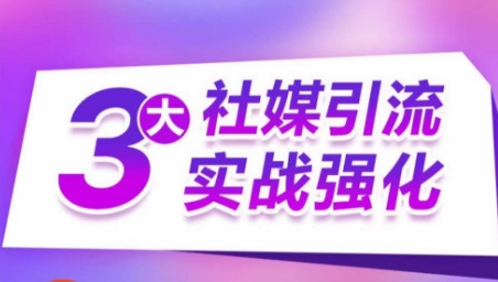 3大社交媒体引流方法实战演练加强，多种渠道站外引流，高效率营销获客，订单信息销售总额翻倍增长