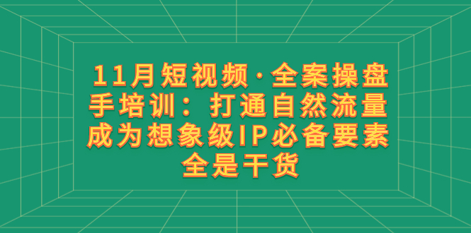 （8182期）11月短视频·全案操盘手培训：打通自然流量 成为想象级IP必备要素 全是干货-暖阳网-优质付费教程和创业项目大全