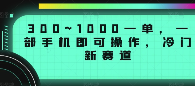 300~1000一单，一部手机即可操作，冷门新赛道