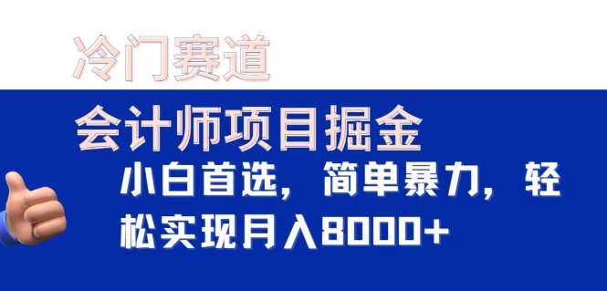 冷门赛道，会计师项目掘金，小白首选，简单暴力，轻松实现月入8000+