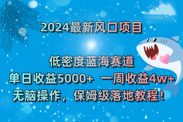 （8545期）2024全新蓝海项目 高密度瀚海跑道，日盈利5000 周盈利4w  没脑子实际操作，保…