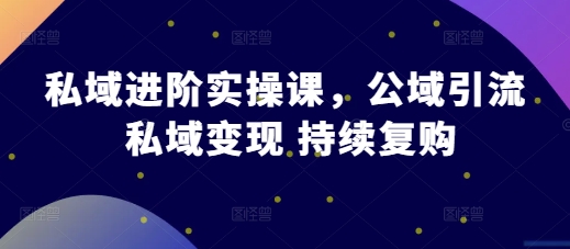 公域升阶实操课，公域流量引流方法 私域变现 不断回购