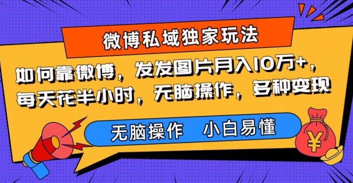 怎样靠新浪微博，发发图月入10万 ，每天花费三十分钟，没脑子实际操作，多种多样转现-暖阳网-优质付费教程和创业项目大全