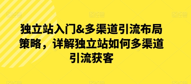 自建站新手入门&多种渠道引流方法合理布局对策，详细说明自建站怎样多种渠道引流方法拓客