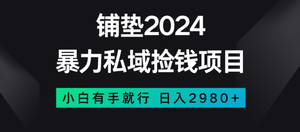 暴力私域捡钱项目，小白无脑操作，日入2980【揭秘】-暖阳网-优质付费教程和创业项目大全