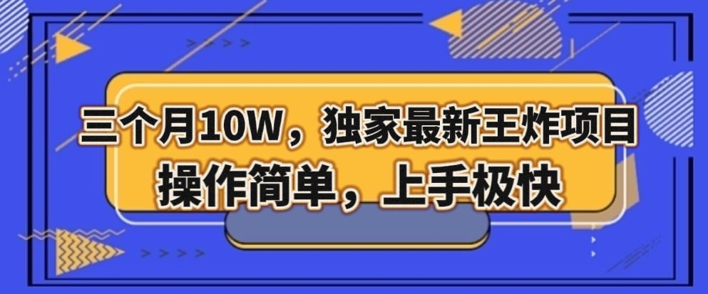 三个月10W，独家代理全新大小王新项目！使用方便，入门很快【揭密】-暖阳网-优质付费教程和创业项目大全