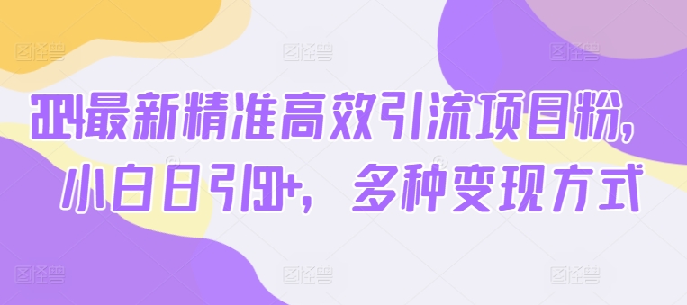 2024全新高效便捷引流项目粉，新手日引50 ，多种多样变现模式