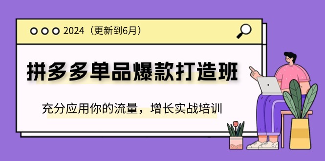 （11556期）2024拼多多平台-品类爆款打造班(升级6月)，充分应用你的流量，提高实战培训