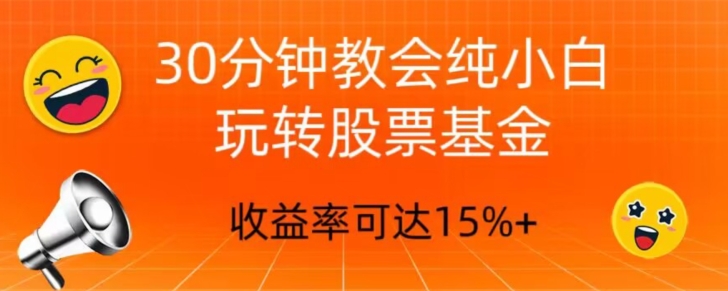 30min教会我们轻松玩股票型基金，只教好一点的挑选方式，不推荐股票-暖阳网-优质付费教程和创业项目大全