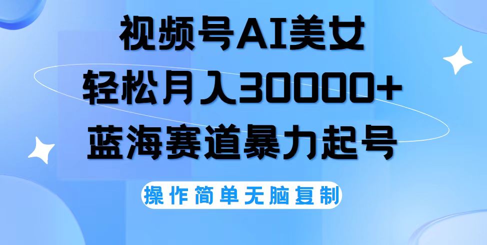 （12125期）视频号AI美女跳舞，轻松月入30000+，蓝海赛道，流量池巨大，起号猛，无…