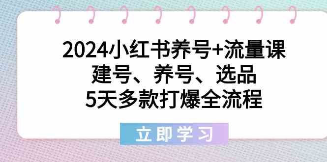 2024小红书的起号 总流量课：创号、起号、选款，5天几款打穿全过程