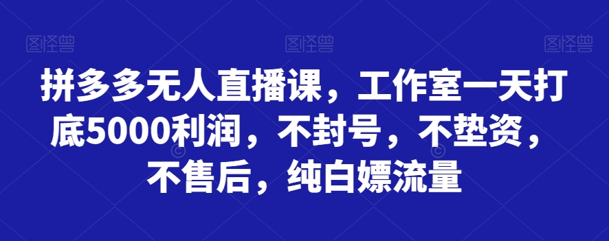 拼多多平台无人直播课，个人工作室一天内搭5000盈利，防封号，不垫付资金，不售后服务，纯白色嫖总流量-暖阳网-优质付费教程和创业项目大全