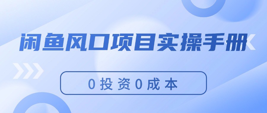 （11923期）闲鱼平台蓝海项目实际操作指南，0投入0成本费，使你保证，月入了万，初学者能做