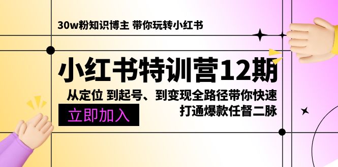 （10666期）小红书的夏令营12期：从精准定位 到养号、到转现全路径陪你迅速连通爆品任督二脉