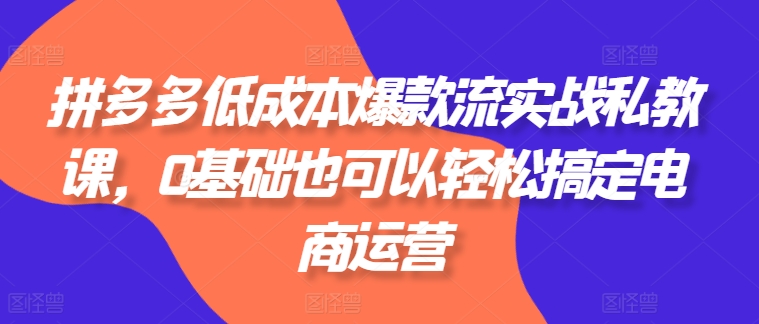 拼多多平台降低成本爆品流实战演练私教，0基本还可以轻松解决网店运营