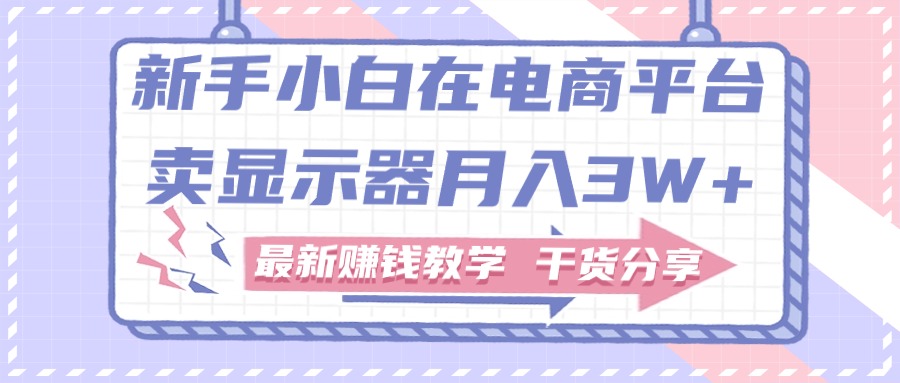 （11053期）新手入门怎样做到在电商平台卖显示屏月入3W ，最新赚钱课堂教学满满干货