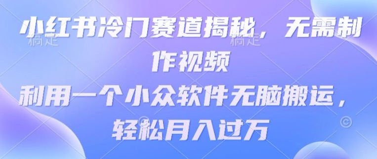 小红书的小众跑道揭密，不用制作小视频，利用一个小众软件没脑子运送，轻轻松松月入了万