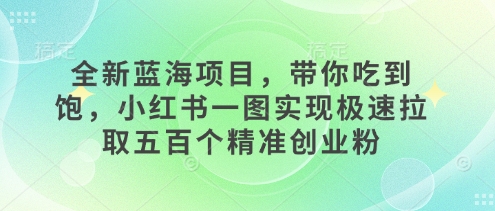 全新蓝海项目，带你吃到饱，小红书一图实现极速拉取五百个精准创业粉