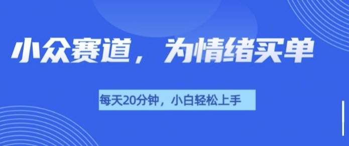 小众赛道，我的治愈系电子抱枕，让用户为情绪买单